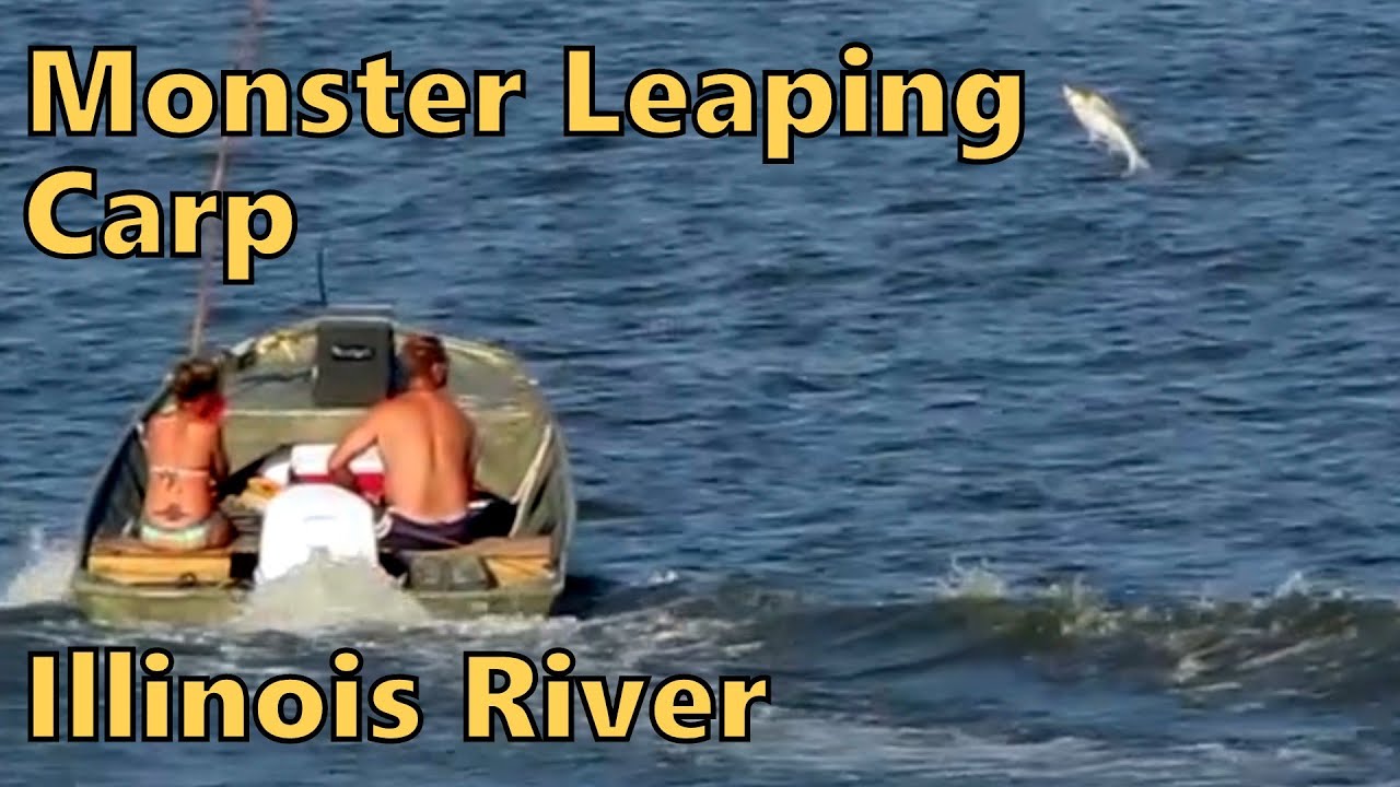 monster-leaping-carp-2013-peoria-irish-fest-youtube