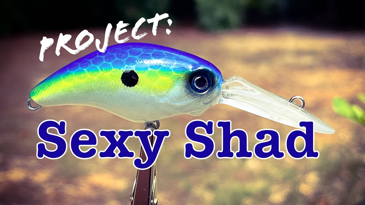 Lure Painting - You can do this SIMPLE sexy shad design on a crankbait 