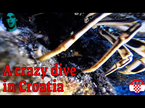 Crazy diving in #Croatia