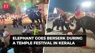 Elephant goes berserk during festival at Tharakkal temple in Thrissur, leaves several injured