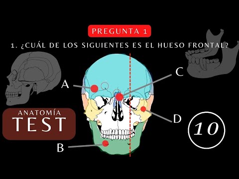 ¿Cuánto Sabes de