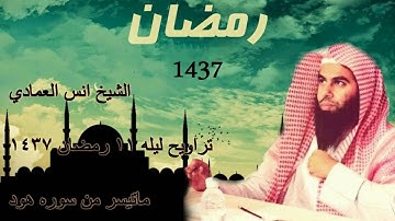 القارئ أنس العمادي  ما تيسر من سورة هود  من تراويح ليلة 11 رمضان 1437 هـ