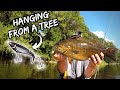 HUGE Smallies CRUSH The Whopper Plopper