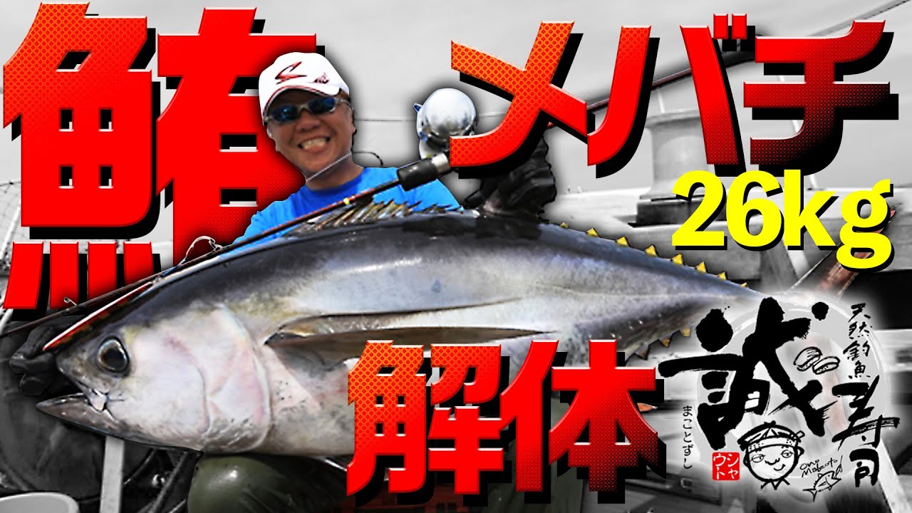 誠寿司vol 2 メバチマグロ26キロを食べる マグロ料理 実食 キハダジギング Youtube