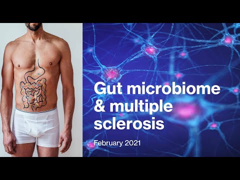The Gut Microbiome In Multiple Sclerosis - New Research Findings