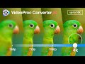 How to Enhance Image Quality | VideoProc All-in-one AI Photo Enhancer (2024)