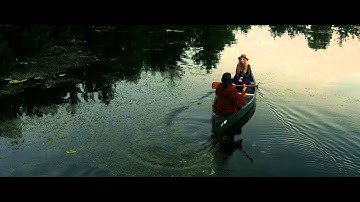 Field Division - Of Lives We