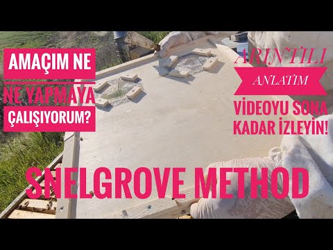 Video: 5 Təəccüblü Yaşlı İt Baxımı Tips