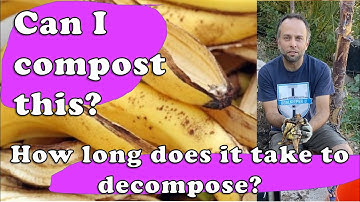 Can I compost this? Banana Peels - And how long does it take to decompose?