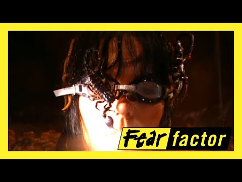 Fear Factor US Season 2 Episode 1: TORTURE CELL 😰 [HD]