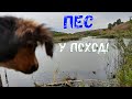 Тренувальний похід з песом ярами та пагорбами | Українською