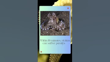 Rắn Taipan Nội Địa – Sở Hữu Nọc Độc Mạnh Nhất Hành Tinh | Sát Thủ Thầm Lặng #độngvậtnguyhiểm