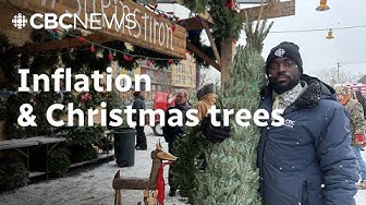 Thumbnail for Does inflation affect how you shop for Christmas trees?