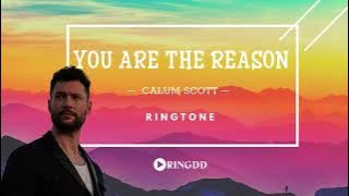 You Are The Reason – Calum Scott | Ringdd