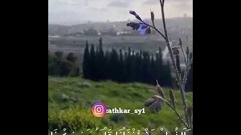 اية من سورة الكهف// بصوت فارس عباد// حالات واتس اب دينية// حالات قران كريم// تلاوة مؤثرة