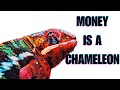 Money is a chameleon 