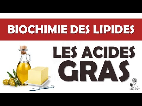 Biochimie des Lipides - les Acides Gras