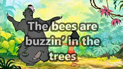 The Bear Necessities