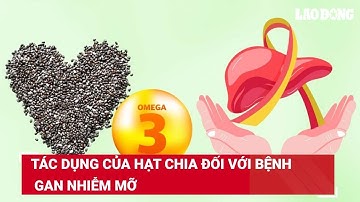 Tác dụng của hạt chia đối với bệnh gan nhiễm mỡ | Báo Lao Động