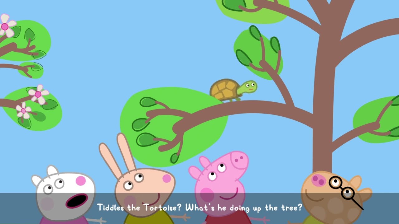 Tiddles the Tortoise