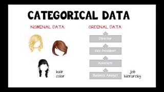 2.2 - Categorical vs Numerical Data