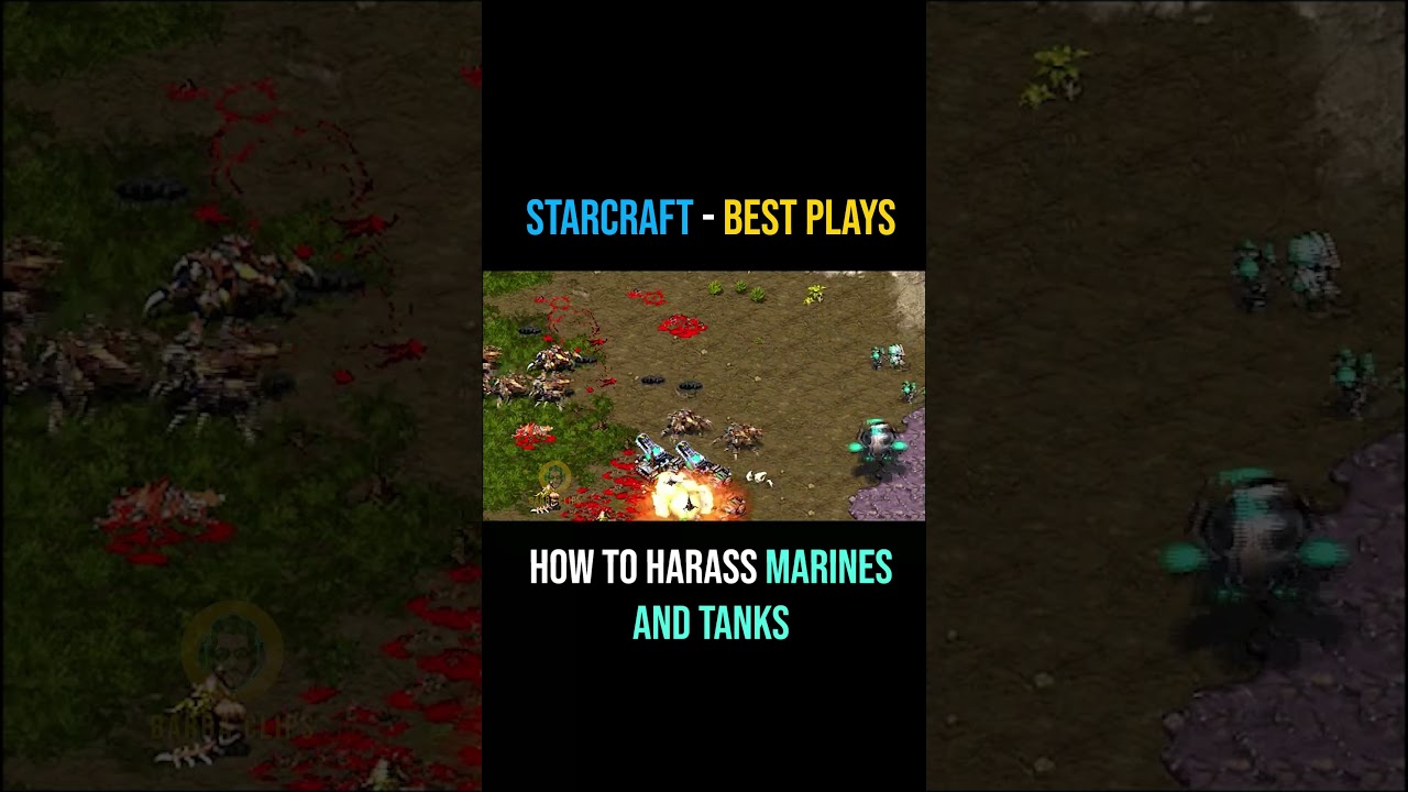 Starcraft best plays - How to harass marines 