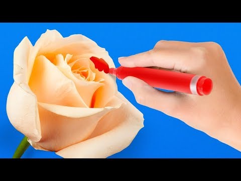 Video: Artigianato d'interni fai-da-te: idee per la decorazione