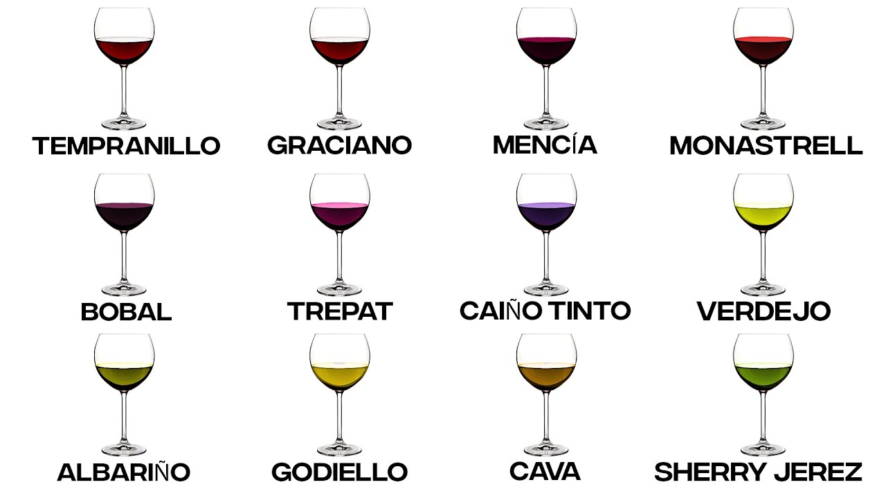 Every Spanish Wine Explained in 14 Minutes