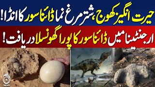 70-million-year-old dinosaur egg discovered in Argentina – Aaj Digital 70-million-year-old dinosaur egg discovered in Argentina – Aaj Digital