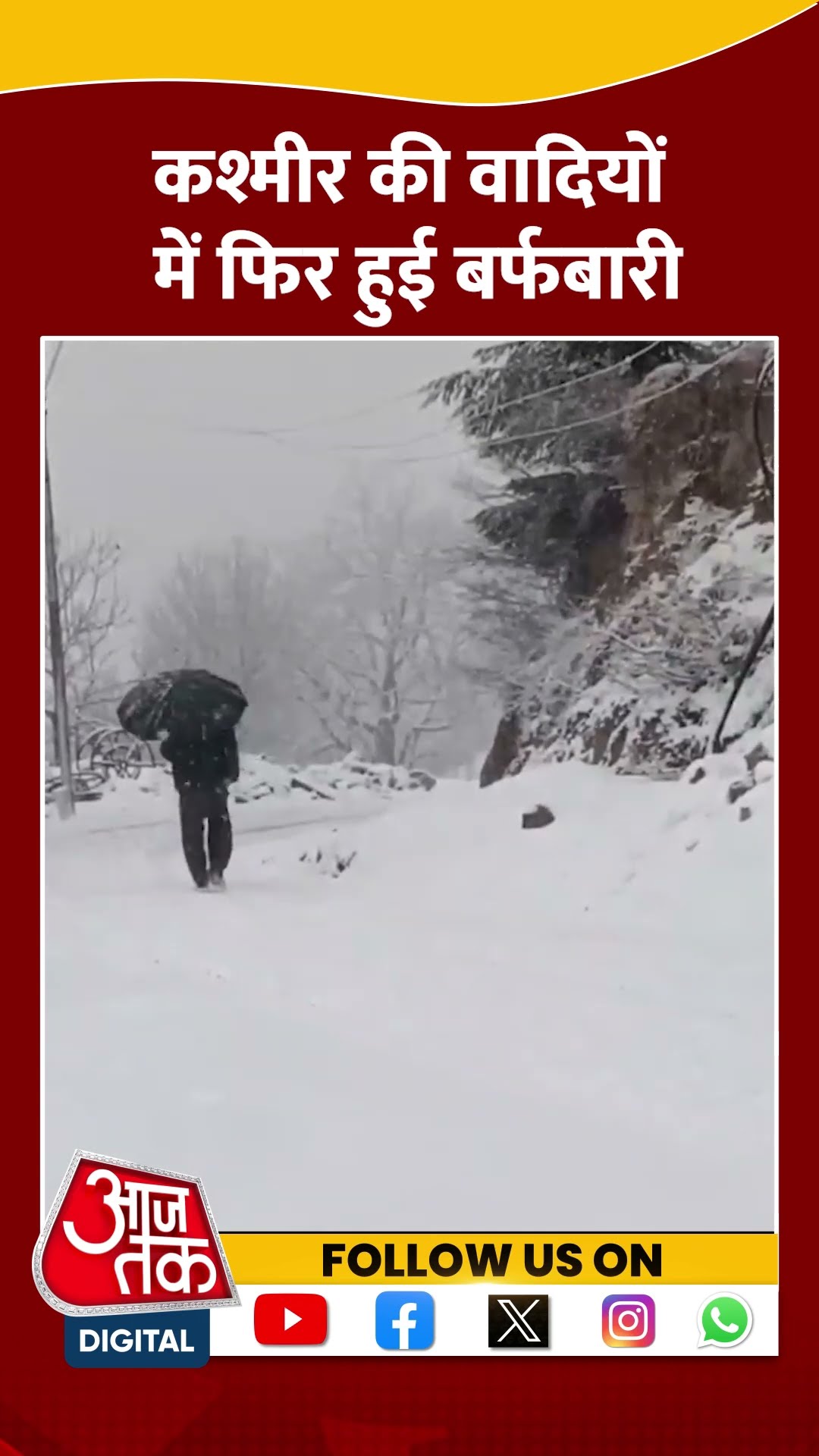 Kashmir की वादियों में फिर हुई Snowfall #shorts #viral #shortvideo #jammukashmir #snowfall