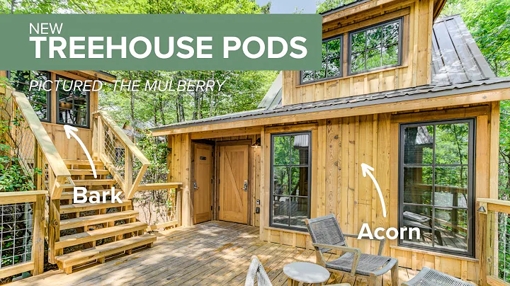 The Treehouse Master Reveals His Newest Treehouses (Treehouse Pods 2025)