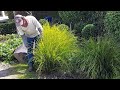 A large garden with a beautiful transformation  watch how its done