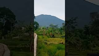 Tik Tok Gunung Gede Smp 