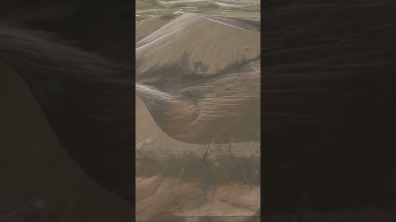 The birth and destruction of a sandstorm ￼ 