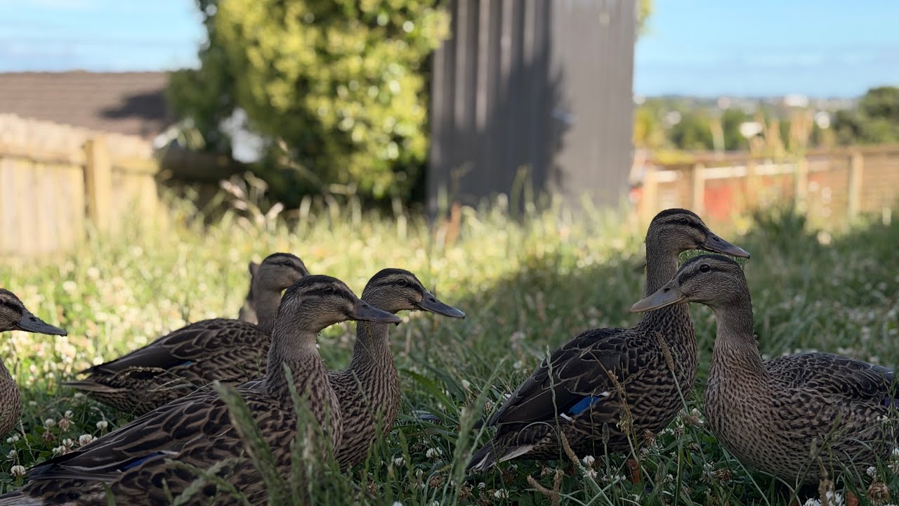 Spending some time here 