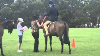 St Ives Show