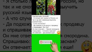 Чёрная смородина😅 #юмор #шуточное #анекдоты #смехпродлеваетжизнь