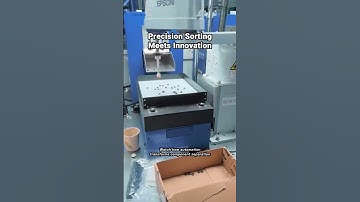 Revolutionizing with Automated Sorting Equipment: See It in Action!