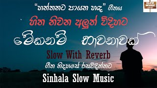 Hanthaneta Payana Sanda Song Slow Reverb හනතනට පයන හඳ Sinhala Slow Songs