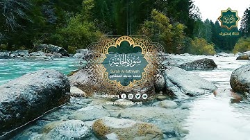 سورة الجاثية - محمد صديق المنشاوي | Surat Al-Jathiya - Mohamed El-Minshawi (جوده عاليه-High Quality)