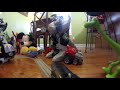 Diesel Goes To Toyland