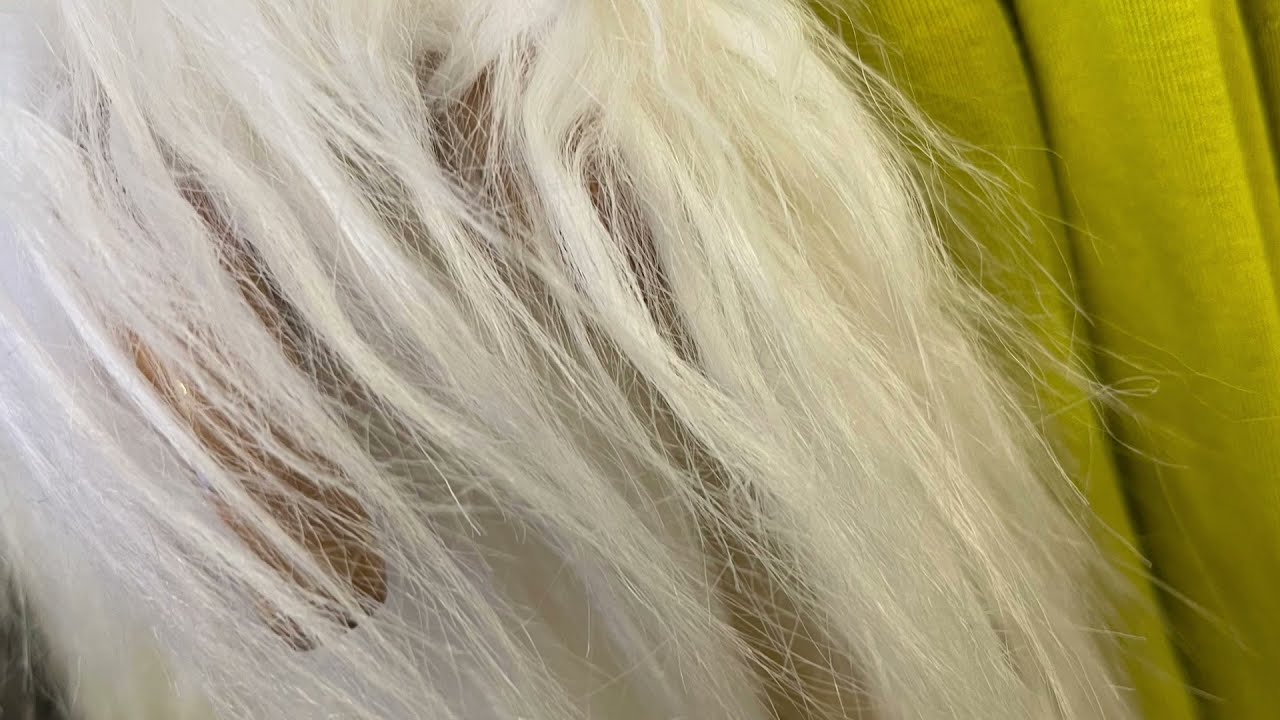 The January Sale 2022