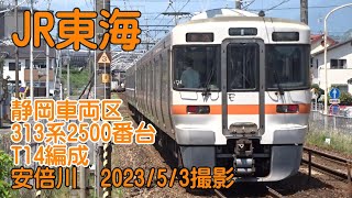 ＜JR東海＞静岡車両区313系2500番台T14編成 安倍川　2023/5/3撮影／JR-Central 313-2500 T14 Abekawa