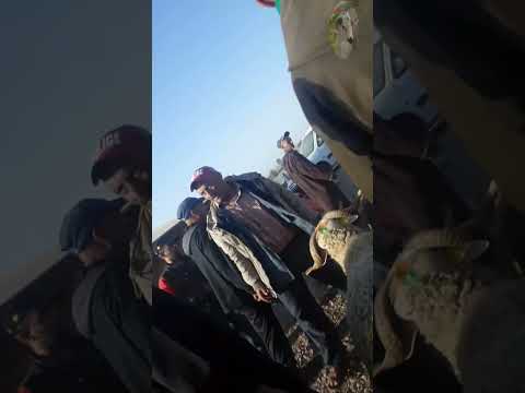 خيرات تبارك الله بسوق جمعة كيسر اقليم سطات