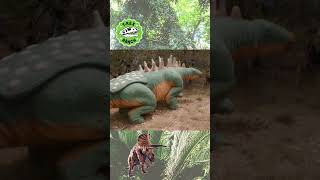 What is an Herbivore? 🦖| T-Rex Ranch Dinosaur Videos for Kids