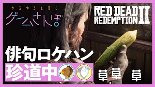 【ゲームさんぽ/ RDR2】編集部「季語探し」ロケハン
