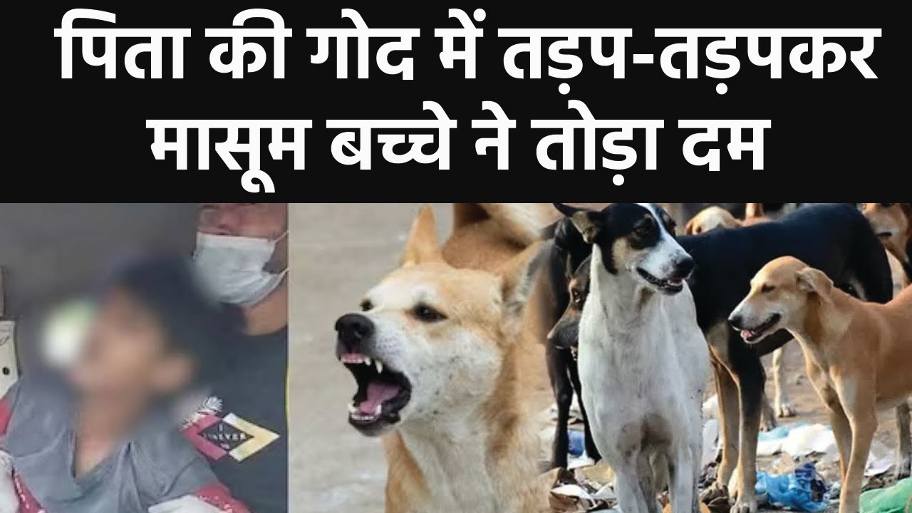 Ghaziabad Dog के काटने से 14 साल के Boy ने तड़पतड़पकर तोड़ा दम