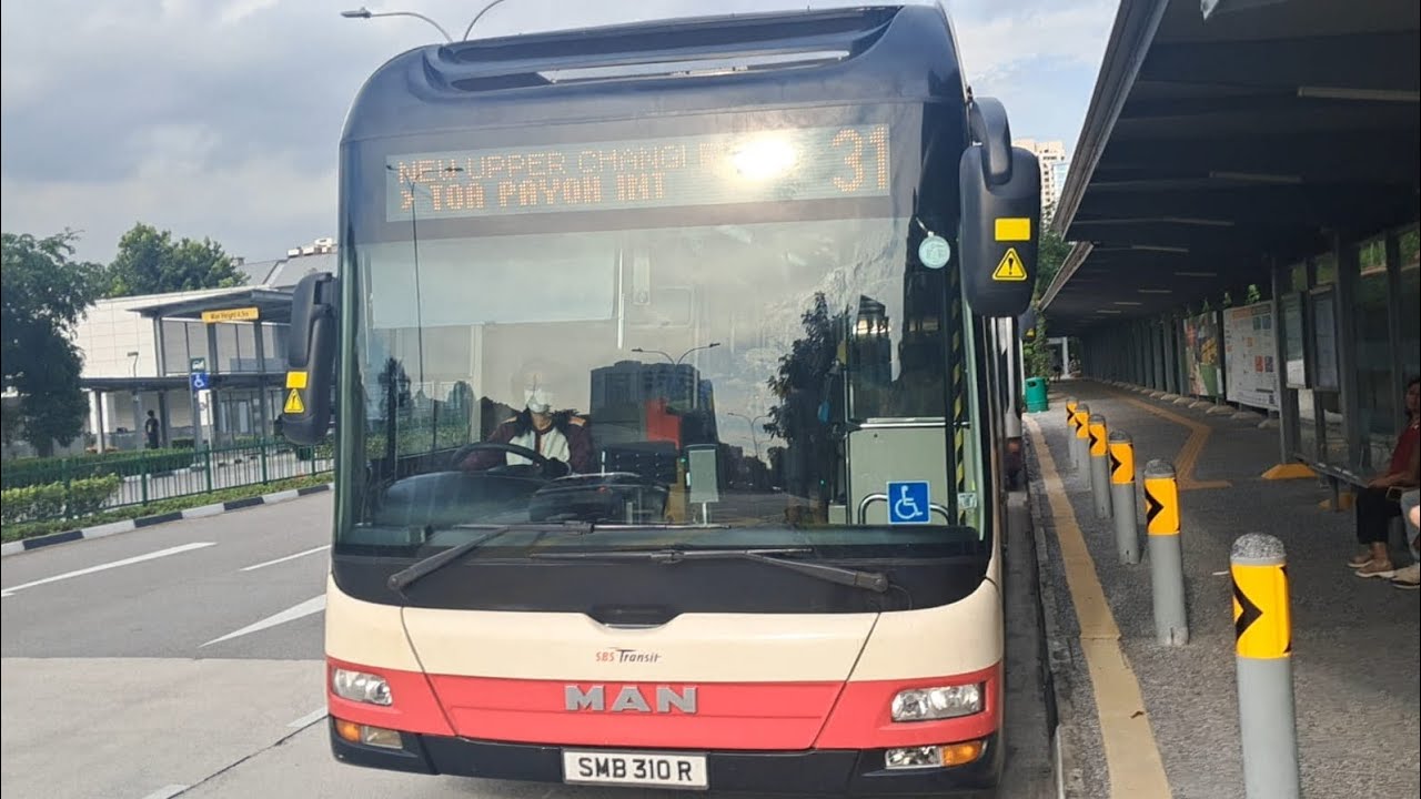 Rarest Cameo I have ever caught!!!!!!! (Full Joyride) (SBST w SMRT stripe) SMB310R on 31