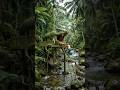 I Built a Secret Bamboo Treehouse. Beautiful Handmade Bamboo Craft#bamboohouse #shorts
