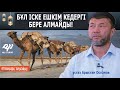 Бұл іске ешкім кедергі бола алмайды / ұстаз Арыстан Оспанов